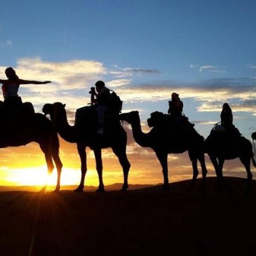 Merzouga camel trekking desert tours from Marrakech